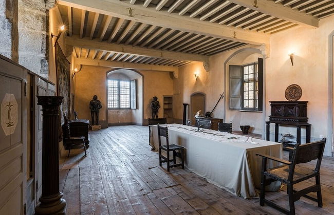 Château des Marcilly Talaru - Foto 42