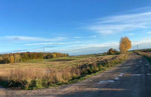 Feel-Harmonia w Nowym Kawkowie - Foto 30