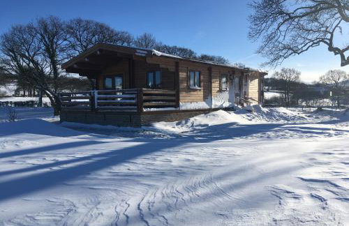 RedWood Lodge - Photo 35