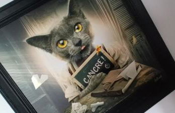 Villa du homard bleu - Foto 16