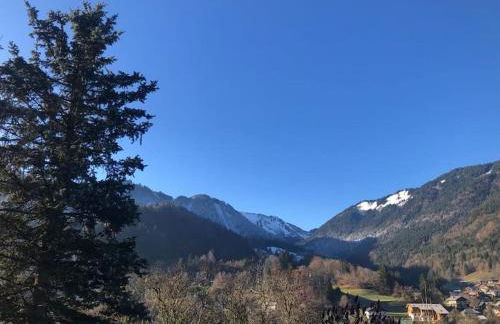 Chalet de montagne Pierre et Gaby non-fumeur hôte non professionnel - Foto 19