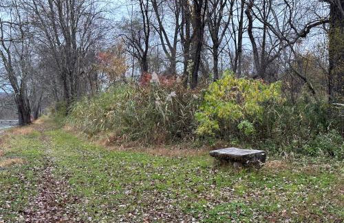 Escape to a Streamside Cabin in the Lower Catskills - Foto 30