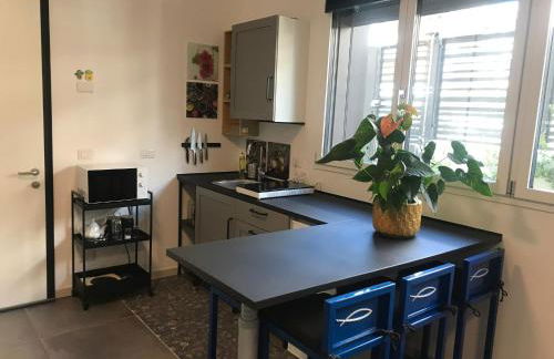 Papero rosso - Foto 24