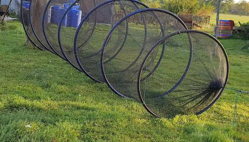 Fischerhaus Warthe - Foto 2