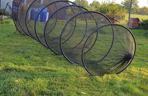 Fischerhaus Warthe - Foto 2