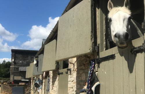 Historical cottage on private estate in Cotswolds - Foto 18