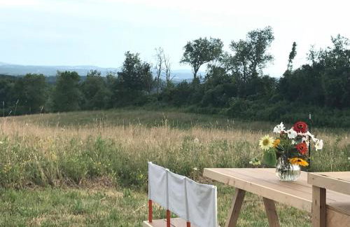 Runamuk Farm Camp with a View near the Adirondacks - Foto 6