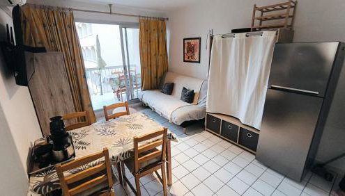 Le Thalassa II appartement T2 en bord de plage et du Port - Foto 5