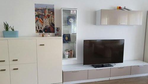 Apartment FALVIG inkl. Küche - Foto 4