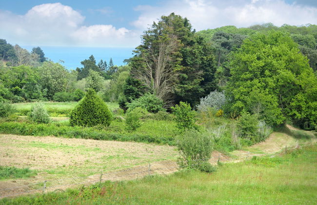 La Pailloussette - Foto 22