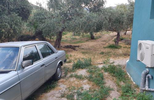 MariGold Villa - Photo 28