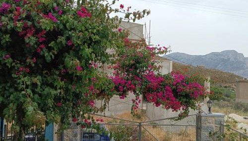 Seaside Apartment 2 - Photo 3, Garden