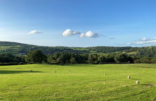 Fedwr Gog Cottage - Photo 16