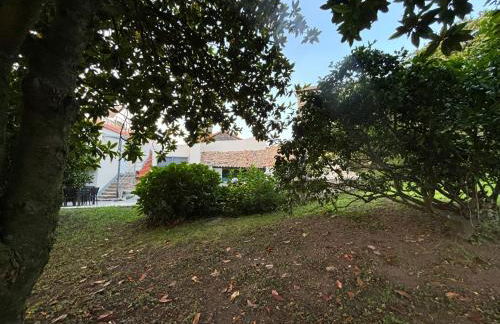 Casadeira de Mucha - Foto 9