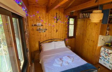 Η Χαρούμενη Αρκούδα - Foto 6