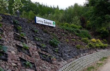 Leśny Zakątek- Domek Lipa - Foto 23