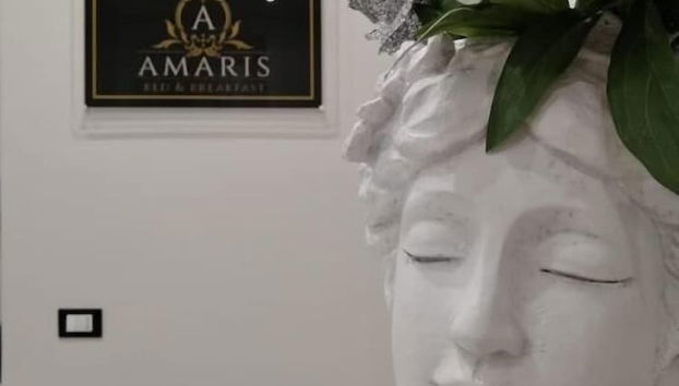 AMARIS - Foto 2, Recepción