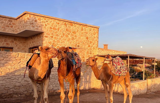 Little Beach Cottage - Photo 37