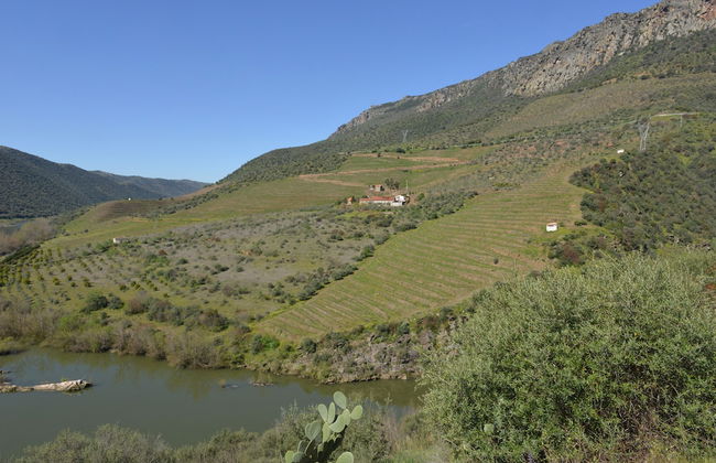 Casas Rurales Aldeaduero - Foto 67