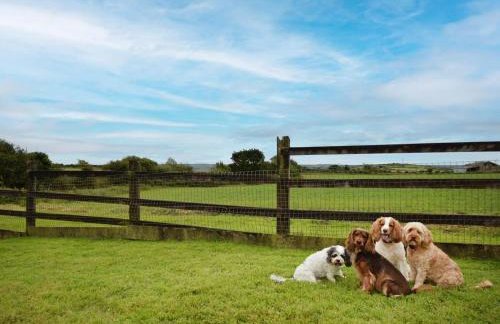 3 Bed in Falmouth oc-conwi - Photo 4