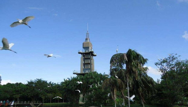 Belen Amazonian Parks Tour - Foto 2