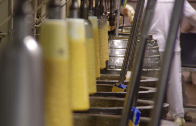 Visita a la fábrica de turrones El Artesano - Foto 7