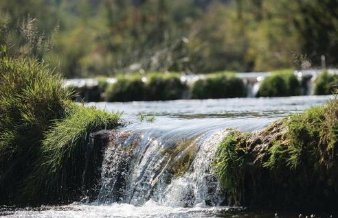 Holiday Home Pribanjci V - Foto 23