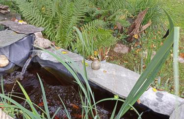 Maison Eureka Chantilly Gouvieux - Foto 13