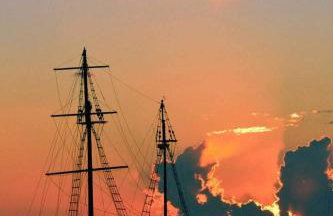 Sunny Garden - Foto 27