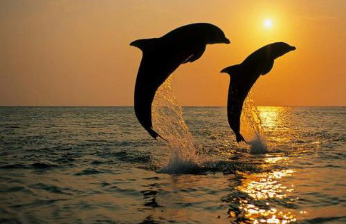 227-WIFI, New Paint, AMAZING Views, Close to BUCS stadium - Foto 33