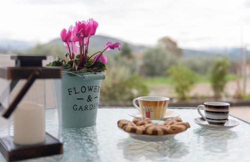 Ikiesnafplio - Foto 13