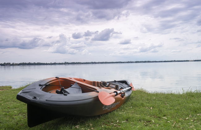 Olivos de Monte - Foto 51