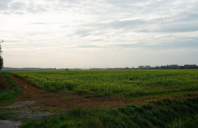 Chalet in Renesse Near Sandy Beaches - Foto 37