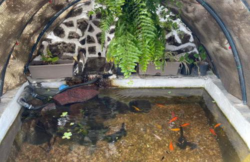 Vistamar La Caleta - Foto 6