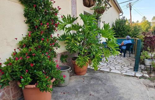 Casa Sol & Rio - Foto 23