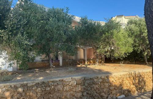 Coastal dream - Foto 35