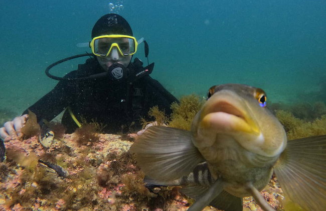 Bautismo de buceo en Puerto Madryn - Foto 7