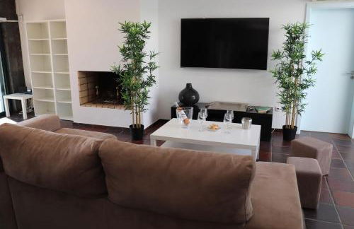 Monte da Figueira Brava - Foto 11