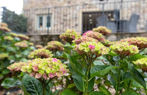 Hen Harrier Lodge - Foto 36