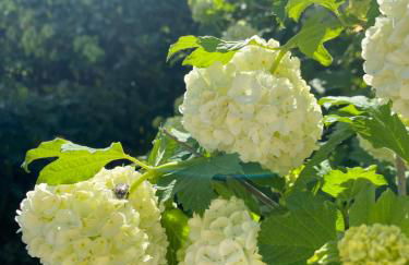 Casa Vacanze Podere San Giusto Volterra - Foto 31