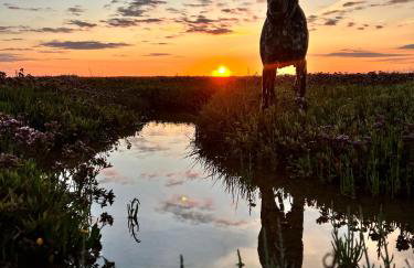 Blacksmith Cottages - Foto 19