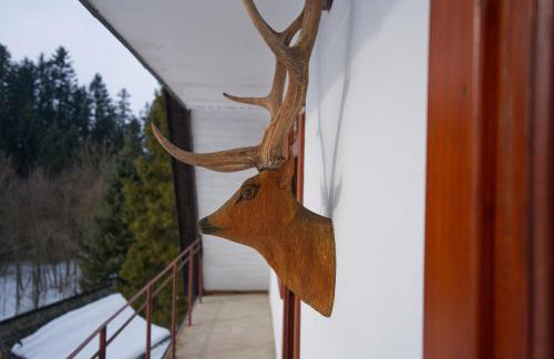 Krynica Zdrój - Dom nad wodą - Foto 30