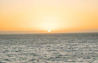 LAR Tamaduste - Foto 32