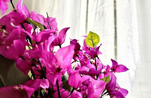 Avenzoar Apartments - Foto 44