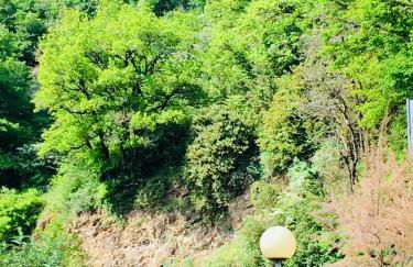 Les Gîtes du Moulin d Olt - Foto 34