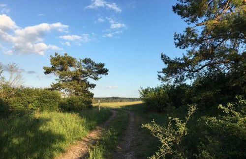 Zum Goldenen Schaf II - Photo 24