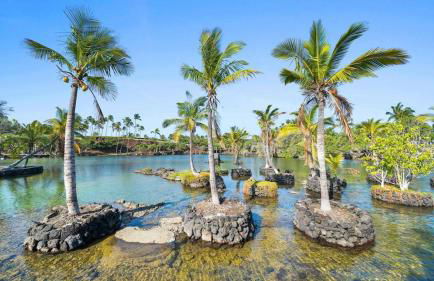 Mauna Lani Fairways - Luxury Accommodations - Photo 70