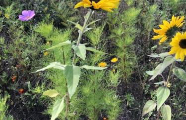 MP 1 Ankerplatz - Foto 14