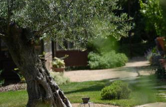 Santolina Etrusca Bed and Breakfast, Sauna, Hammam, Jacuzzi - Foto 16