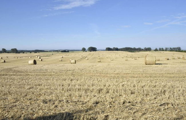 Farmhouse Near Baltic Sea Kuhlungsborn - Photo 32